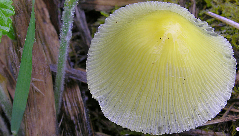 Scende la pioggia.....ma si va...